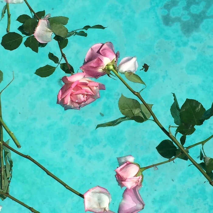 Flower, 2020, asthetic, chill, cool, flowers, pink, pool, tumblr, water, HD  phone wallpaper