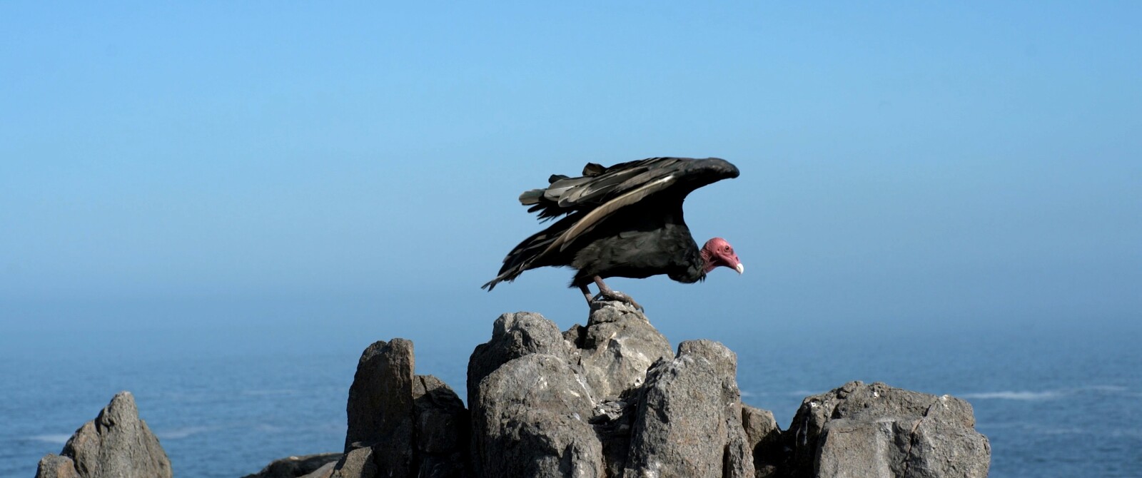 e-flux Screening Room - Arjuna Neuman and Denise Ferreira da Silva: <em>Ancestral Clouds Ancestral Claims</em>
