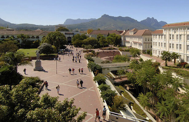University of Stellenbosch