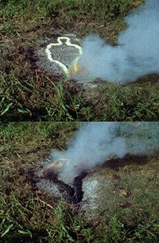 Covered in Time and History:The Films of Ana Mendieta - e-flux