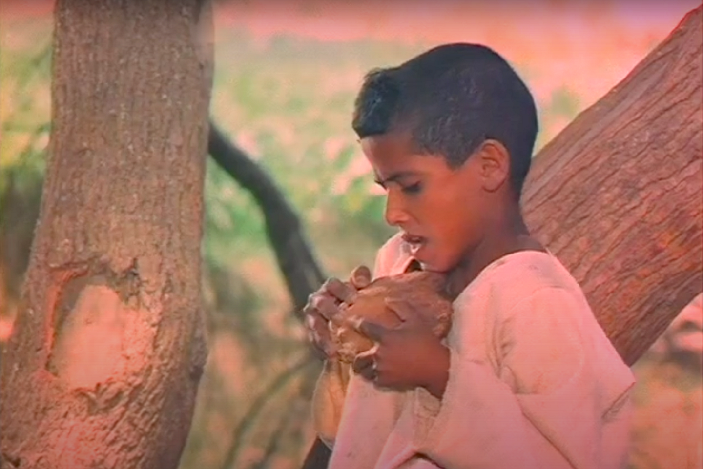 e-flux Screening Room - Double screening:&nbsp;Straub-Huillet and&nbsp;Atteyat Al-Abnoudy​
