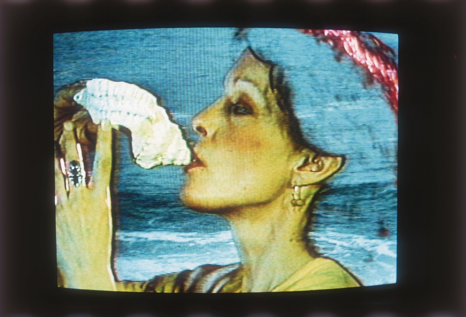 Bar Laika by e-flux Joan Jonas, <em>Double Lunar Dogs</em>
