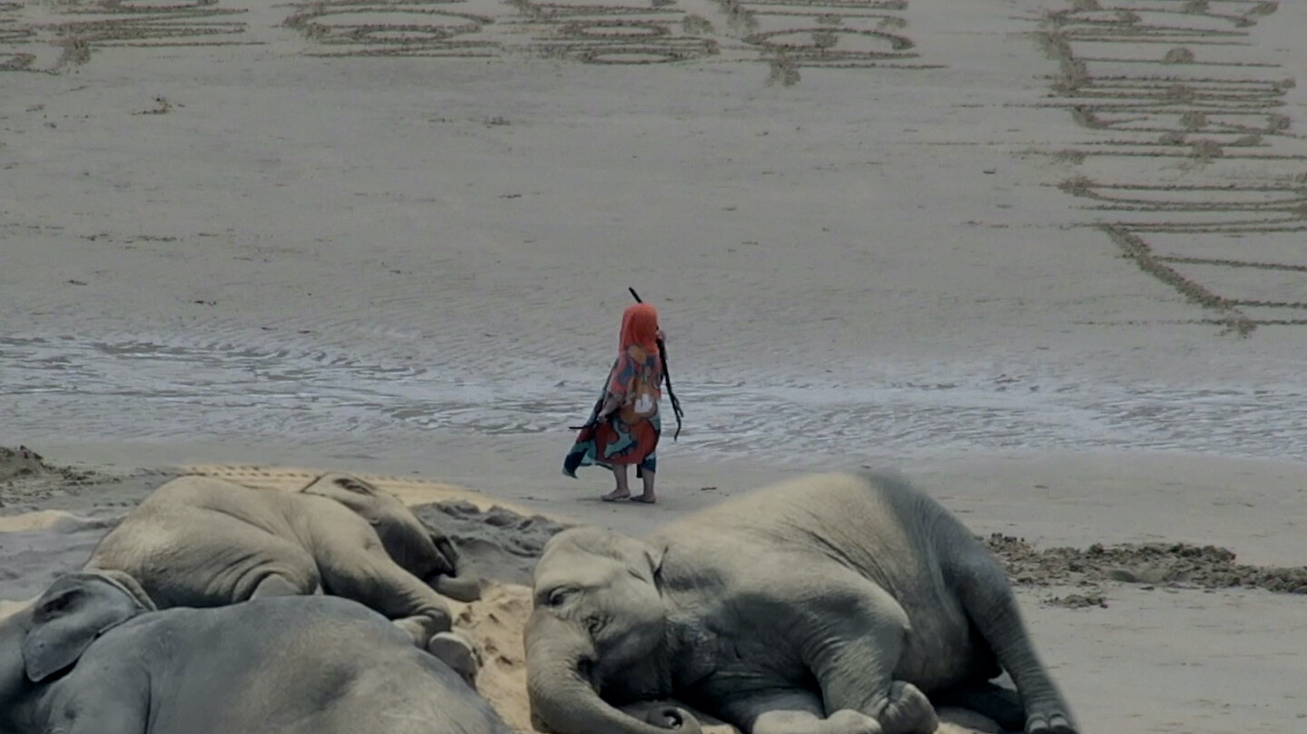 e-flux Screening Room - Mysteries: Recent Films by Sid Iandovka and Anya Tsyrlina
