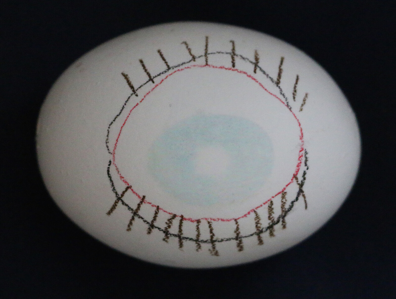 e-flux Dave McKenzie and Mary Walling Blackburn,&nbsp;“Hostile Witness”&nbsp;<br />
A screening, reading, and conversation
