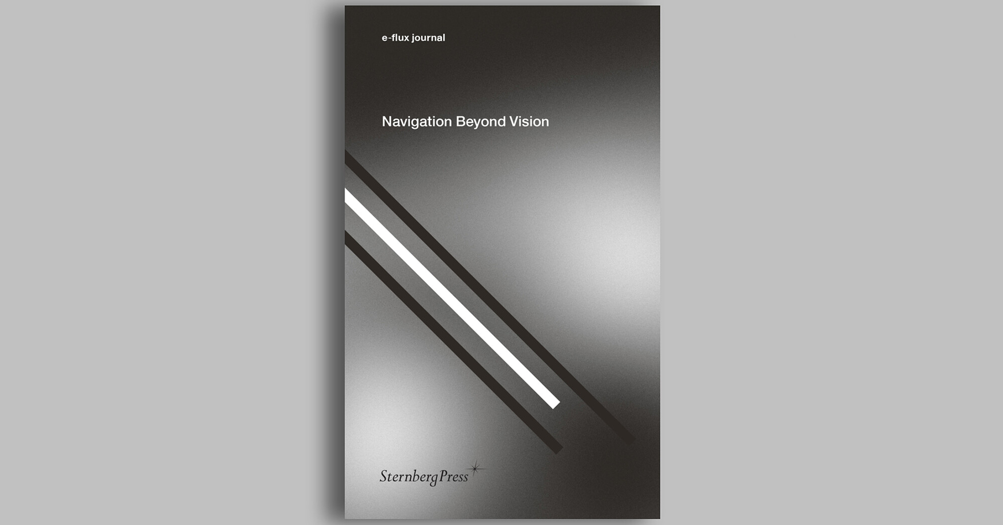 Navigation Beyond Vision book launch - Announcements - Vimarsana News