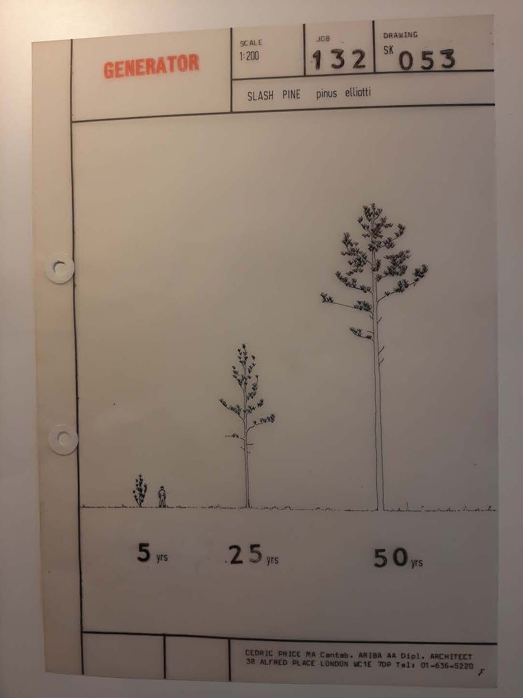 e-flux Sylvia Lavin, “Generator's Vital Infrastructure”
