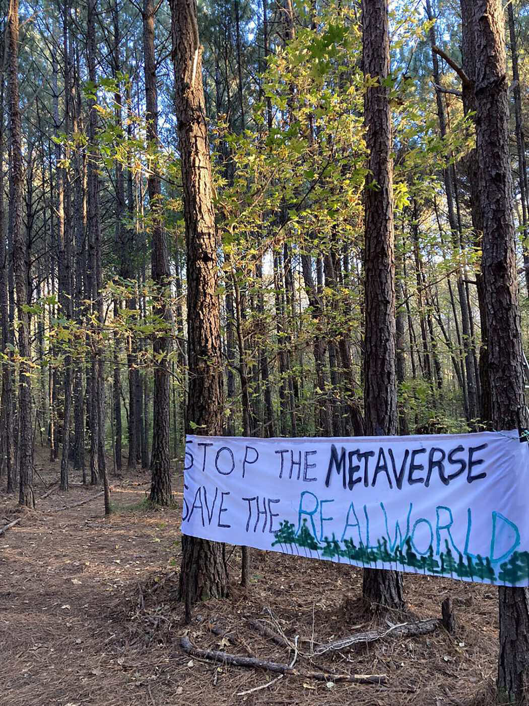 The New Fight Over an Old Forest in Atlanta