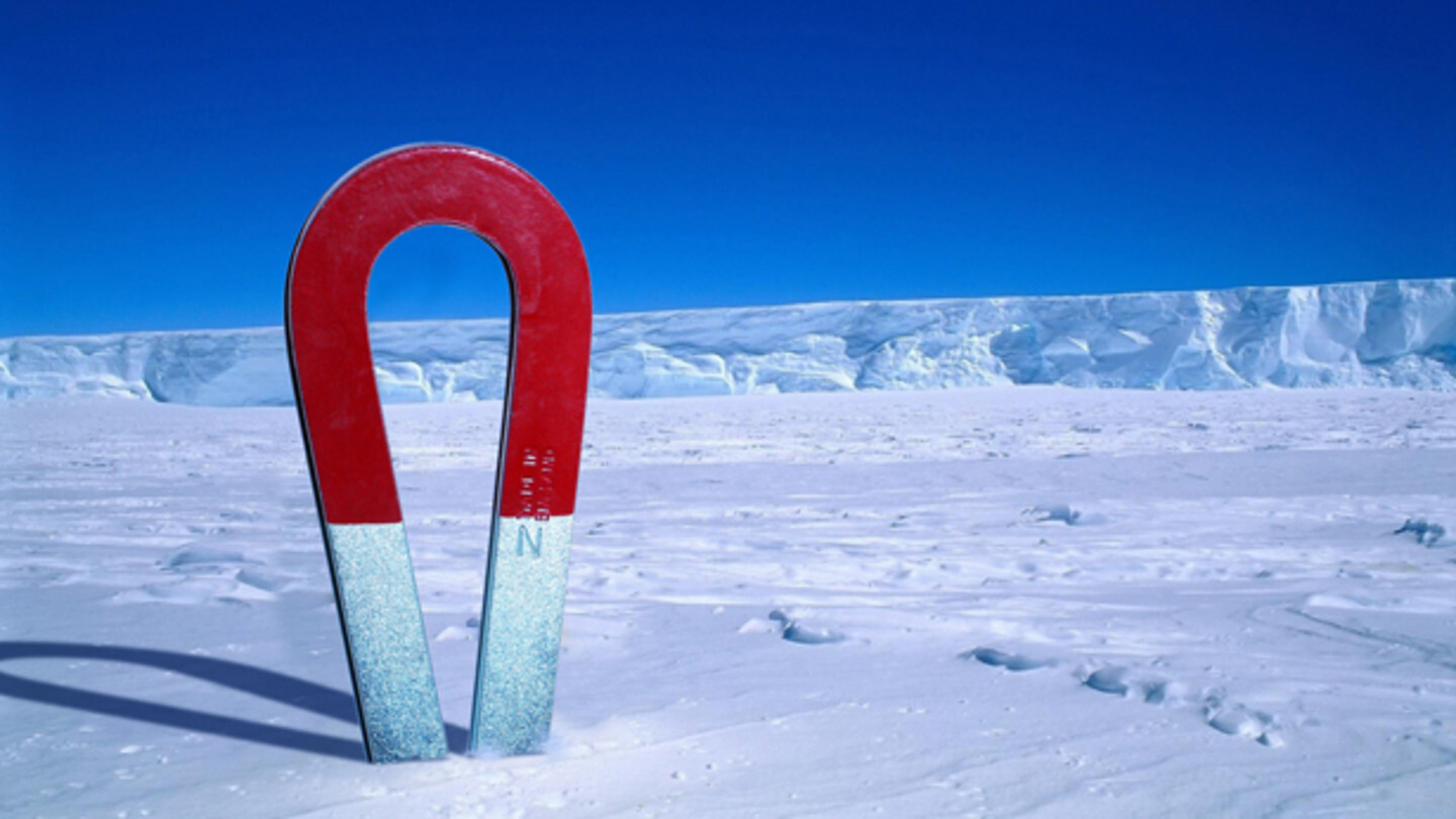 Summer Mondays at e-flux
