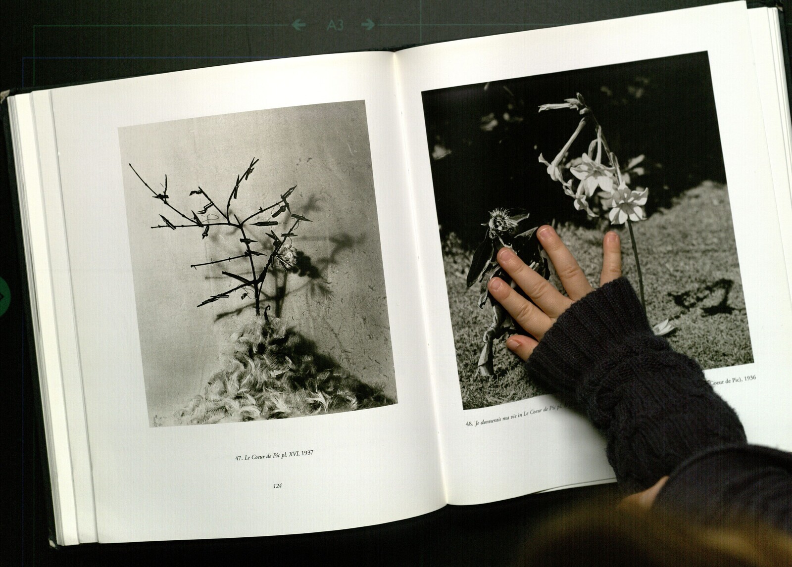 Child as Material with Mary Walling Blackburn
