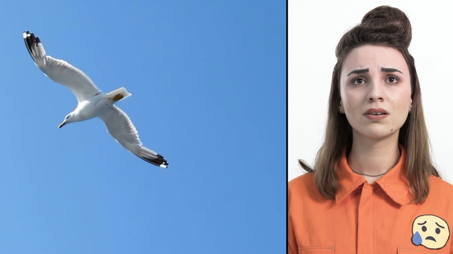 Bar Laika by e-flux Chto Delat,&nbsp;<em>One Night in a Social Network: An Opera-Farce</em>

&nbsp;
