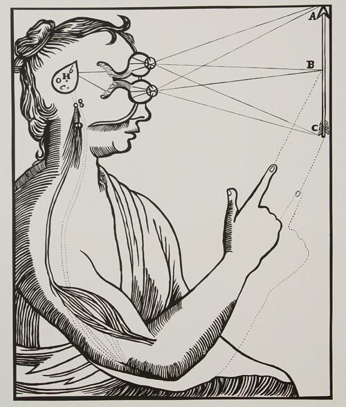 <em>So You Want to See</em>
